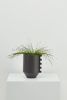 Zip Feature Planter | Vases & Vessels by Capra Designs