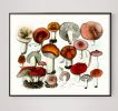 Mushroom Decor, Red and Orange Mushroom Art Print, Kitchen | Prints by Capricorn Press. Item made of paper works with boho & minimalism style