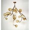Alan Mizrahi IQ20570 Wineroy | Chandeliers by Alan Mizrahi Lighting Design