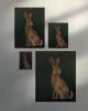 Woodland Hare Art Print, Dark Green Rabbit Wildlife Decor, Giclée Fine Art | Prints by The Ugly Cat Studio