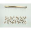 Alan Mizrahi AK3004Z Rectangle Seed | Chandeliers by Alan Mizrahi Lighting Design