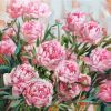 Pink peony flowers original canvas painting Flower oil wall | Oil And Acrylic Painting in Paintings by Natart. Item composed of canvas and synthetic in contemporary style