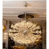 QZ6631 Starburst | Chandeliers by Alan Mizrahi Lighting Design
