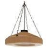 Alan Mizrahi PS9015 Orion Chandelier | Chandeliers by Alan Mizrahi Lighting Design