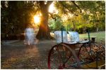 Camila, Carriage - Fine Art Photograph | Photography by Louise O'Gorman
