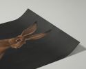 The Hare - Black Edition | Prints by Catherine H