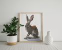 Gallop of the Hare | Prints by The Ugly Cat Studio