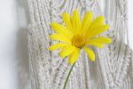 Hanging flower holder - Botanic | Plant Hanger in Plants & Landscape by Stephany Díaz Branada | Karün Store