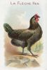 Vintage White Hen Rooster Art, Vintage Chicken Art, Vintage | Prints in Paintings by Capricorn Press. Item composed of paper compatible with boho and minimalism style
