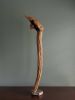 Driftwood Sculpture "The Impaler" with Marble Base | Sculptures by Sculptured By Nature  By John Walker. Item composed of wood & marble compatible with minimalism style