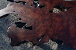 Cantilever Redwood Burl | Coffee Table in Tables by Simon Silver Designs