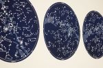 Nautical Constellation Map Celestial Decor, Large Horizontal | Prints by Capricorn Press. Item made of paper works with boho & minimalism style