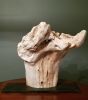 Driftwood Sculpture "Liberty" | Sculptures by Sculptured By Nature  By John Walker. Item made of wood works with minimalism style