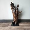 Driftwood Art Sculpture "The Main Artery" | Sculptures by Sculptured By Nature  By John Walker. Item composed of wood in minimalism style