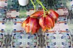Sixth Day, Asparagus | Fabric in Linens & Bedding by Philomela Textiles & Wallpaper. Item made of canvas
