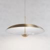Alan Mizrahi IQ2281 Purion Pendant | Chandeliers by Alan Mizrahi Lighting Design