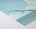 Wobbly Seagull in Flight | Prints by The Ugly Cat Studio