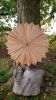 Cherry Starburst: wood wall art | Wall Sculpture in Wall Hangings by Craig Forget. Item composed of wood in mid century modern or contemporary style
