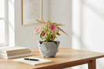 Lunar Origami Fold Planter | Vases & Vessels by RAW & UNIQ