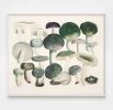 Mushroom Decor, Cool Earth Tone Mushroom Art Print, Kitchen | Prints by Capricorn Press. Item composed of paper in boho or minimalism style