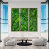 Living Wall Decor Plant Wall Art Moss and Fern Sculpture | Wall Sculpture in Wall Hangings by Sarah Montgomery