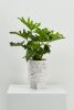 Tri Planter | Vases & Vessels by Capra Designs