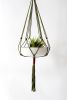 Macrame Plant Hanger, 37” - Moss & Ember | Plants & Landscape by Freefille