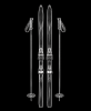 EXPOSED WINTER — CROSS-COUNTRY SKIS WITH POLES | Decorative Objects by Exposedart