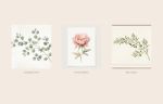 Botanical Watercolor Art Prints Bundle 18 Pages Printable Wall Art Eucalyptus Peony Olive Monstera Lavender Digital Download A4 Home Decor | Digital Art in Art & Wall Decor by Colorize Paper Studio