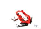 Red Poison Dart Frog | Prints by Brazen Edwards Artist. Item composed of canvas & paper