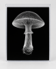 EXPOSED AUTUMN — MUSHROOM | Decorative Objects by Exposedart