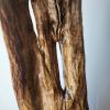 Large Driftwood Sculpture Art Object "Gaping Undulation" | Sculptures by Sculptured By Nature  By John Walker