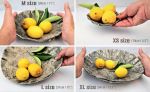5 -13 Inch Bowl, Ceramic Fruit Bowl, Extra Large Bowl | Serving Bowl in Serveware by YomYomceramic. Item composed of ceramic