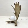 Moose Antler Lamp - Natural | Table Lamp in Lamps by Farmhaus + Co.. Item made of ceramic