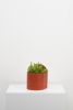 Sol Planter | Vases & Vessels by Capra Designs