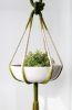 Ombre Forest & Olive Sculptural Macrame Plant Hanger – 37” Hand-Dyed Indoor Planter | Plants & Landscape by Freefille
