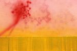 Cherry | Oil And Acrylic Painting in Paintings by Mel Rea7. Item made of canvas