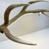 Elk Antler Linear Suspension - Natural | Pendants by Farmhaus + Co.. Item composed of synthetic