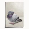Majestic Fat Bird | Work by Catherine H