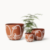 Terracotta Cara Planters | Vases & Vessels by Franca NYC. Item made of ceramic compatible with boho and minimalism style