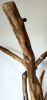 Large Driftwood Sculpture "Interlaced With Grace" | Sculptures by Sculptured By Nature  By John Walker. Item made of wood works with minimalism style