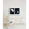 Spills Diptych #05: Conversing White Blobs | Photography by Susan Bowen Photos