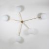 Stella Starfish | Chandeliers by DESIGN FOR MACHA. Item composed of brass and ceramic