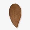 4 ft leaf in Taupe | Wall Sculpture in Wall Hangings by YASHI DESIGNS by Bharti Trivedi