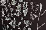 Local Nature Poster | Prints by Leah Duncan. Item composed of paper in mid century modern or contemporary style
