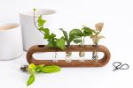 Ovate propagation station | Planter in Vases & Vessels by Almon Woodcraft