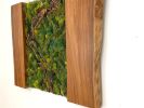 Moss Wall Artwork | Ornament in Decorative Objects by Carlberg Design. Item made of wood compatible with minimalism style