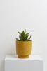 Banjo Planter | Vases & Vessels by Capra Designs