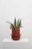 Roma Planter | Vases & Vessels by Capra Designs