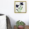 Bearded Iris II | Mixed Media in Paintings by Susan Wallis. Item in contemporary or modern style
